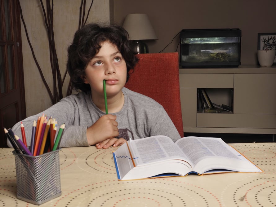 distracted child, studying with books